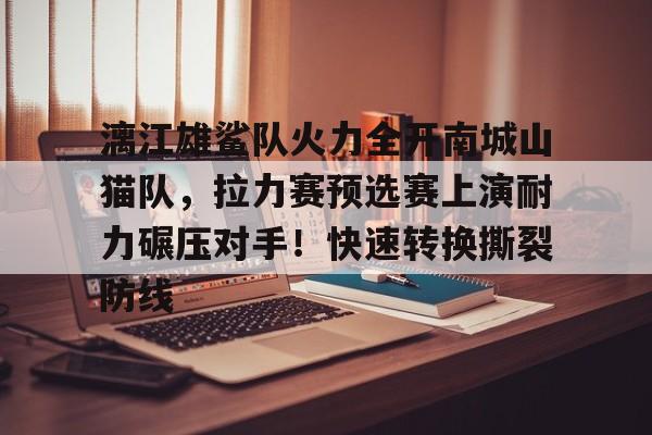 漓江雄鲨队火力全开南城山猫队，拉力赛预选赛上演耐力碾压对手！快速转换撕裂防线的简单介绍